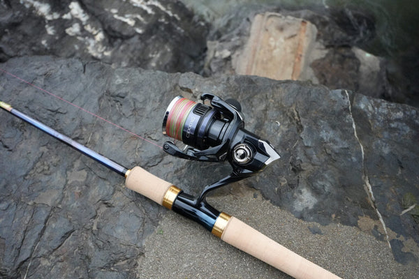 Shimano Twin Power XD 2025