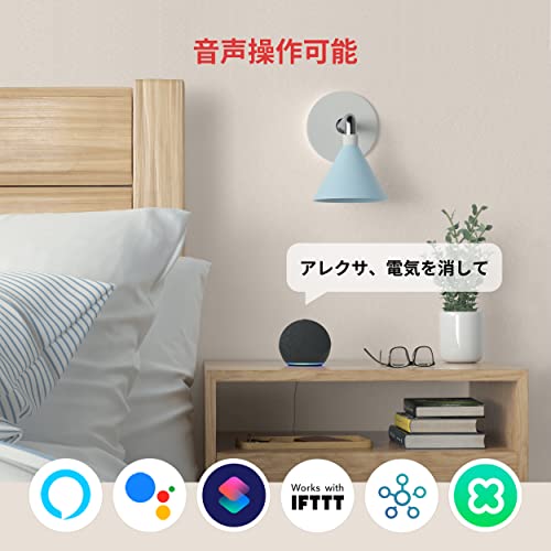 Công tắc thông minh Điều khiển từ xa bằng điện thoại thông minh Tương thích với Alexa, Google Home, Siri, IFTTT, v.v. (Yêu cầu Hub)